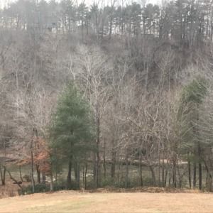 Meet your Posher, Teresa